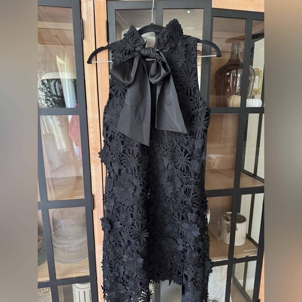 Tuckernuck Guipure Lace Blythe Dress bow mini sleeveless black tie ruffle neck